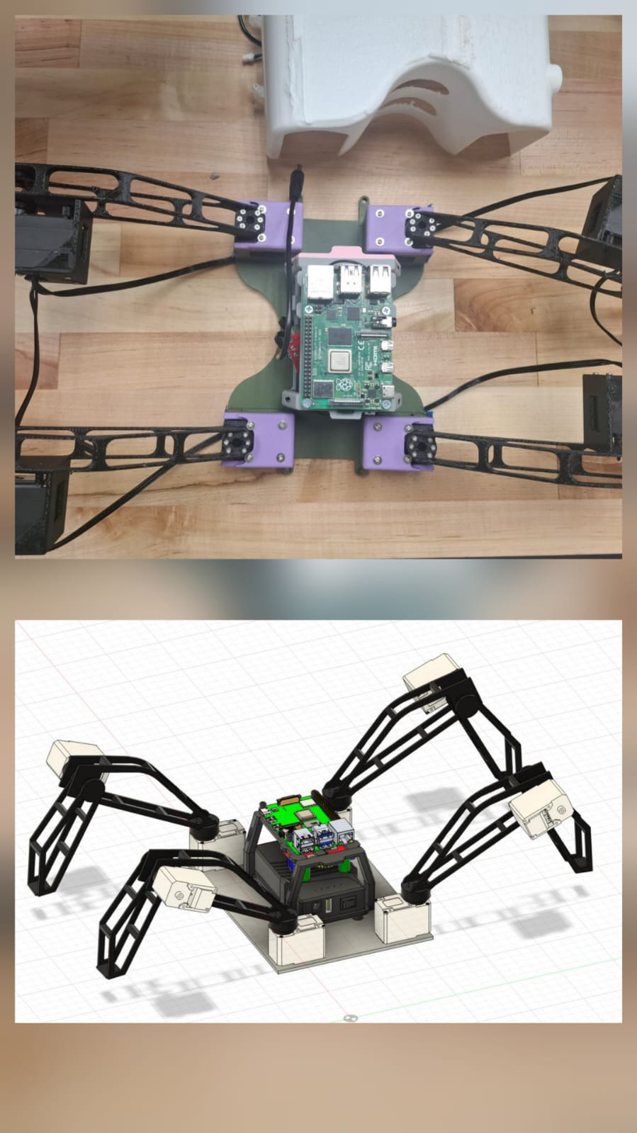 Physical quadruped robot and mechanical CAD model