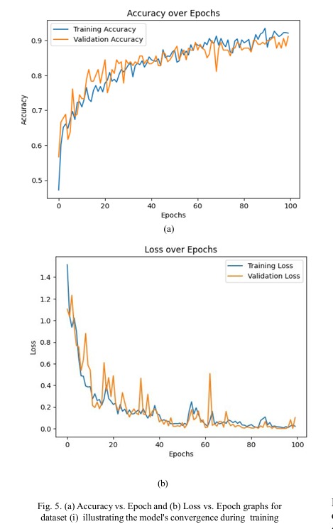 CNN training and validation accuracy and loss over training epochs
